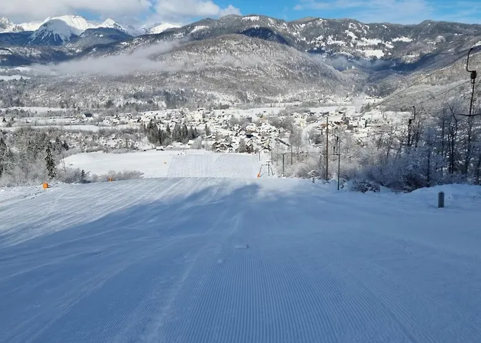 Nad Tunelom 博希尼